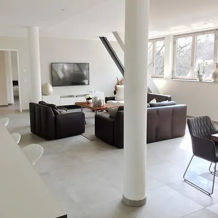 Luxery Loft Apartment Mannheim