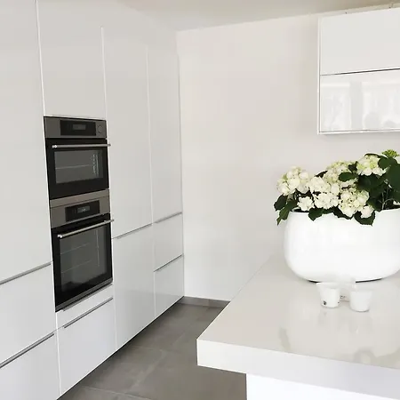 Luxery Loft Apartment Mannheim